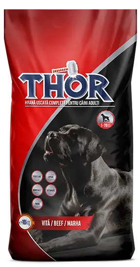 Сухий корм для собак THOR with beef (яловичина) 10 кг